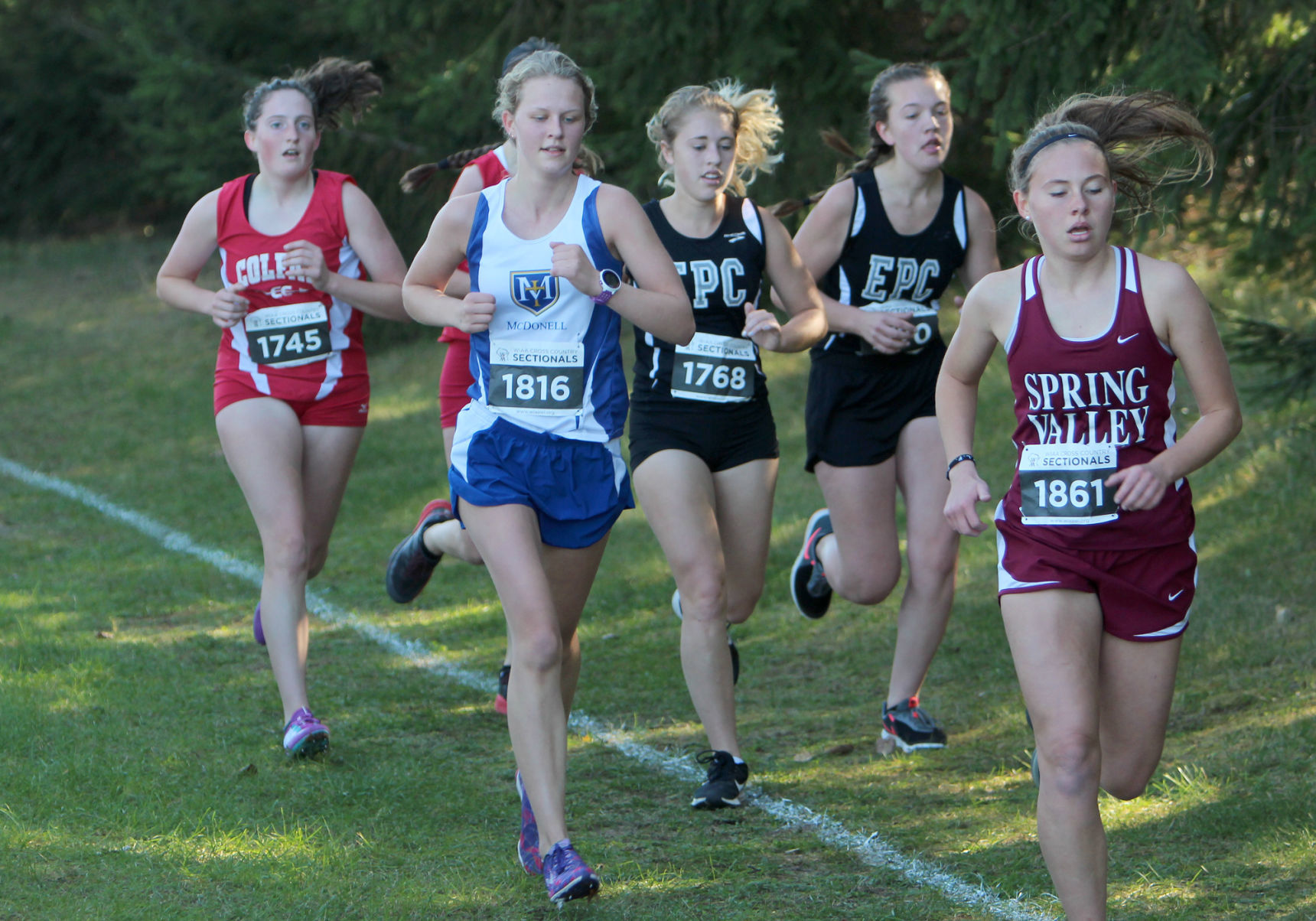 Division 3 Cross Country Sectionals in Boyceville 10-26-19